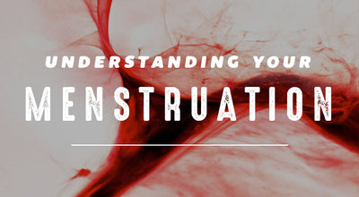 Understanding You & Your Menstruation
