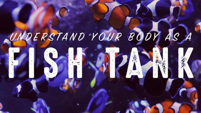 The Body As A Fish Tank