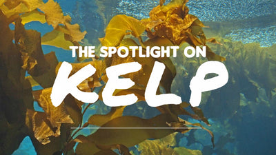 The Magic of Kelp