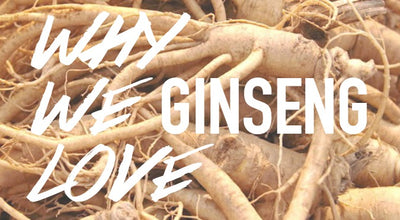 The Spotlight On Ginseng