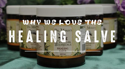 Why We LOVE The Healing Salve