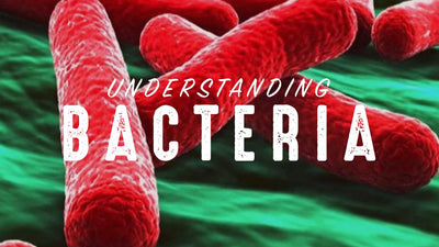 The Great Bacteria Misunderstanding