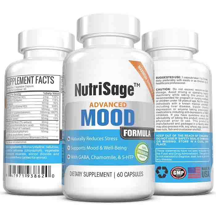 NutriSage: Advanced mood
